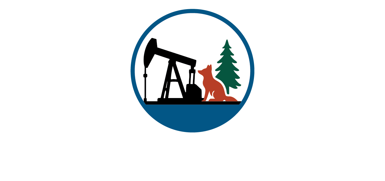 Footer Logo